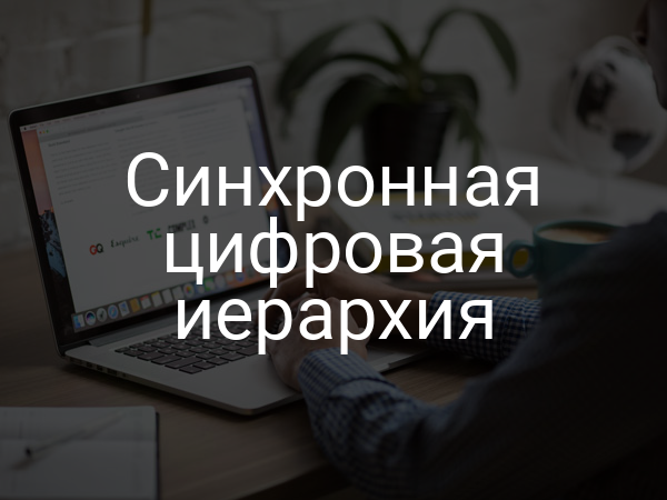 Синхронная цифровая иерархия