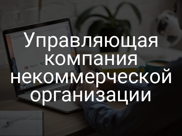 Управляющая компания некоммерческой организации