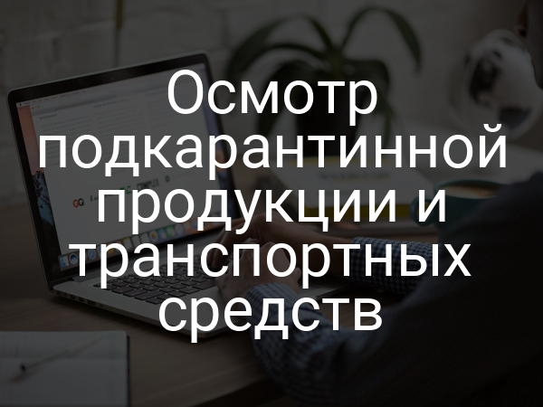 Осмотр подкарантинной продукции и транспортных средств