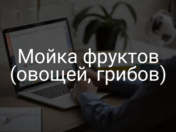 Мойка фруктов (овощей, грибов)