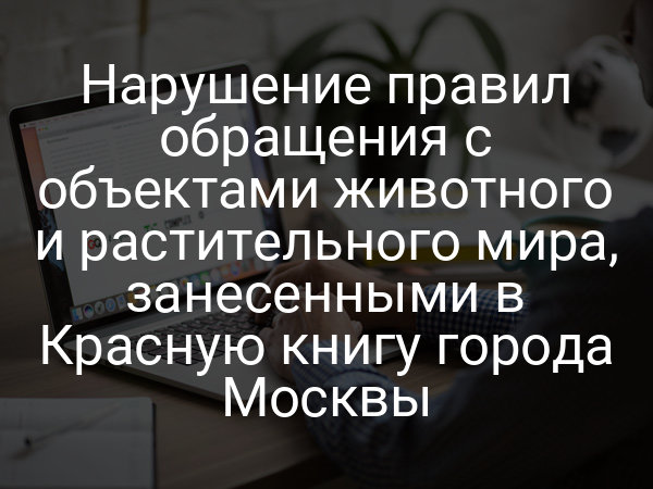 Нарушение правил обращения с объектами животного и растительного мира, занесенными в Красную книгу города Москвы