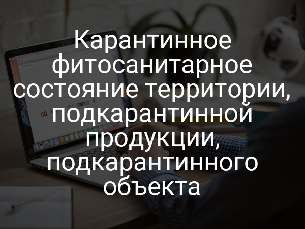 Карантинное фитосанитарное состояние территории, подкарантинной продукции, подкарантинного объекта