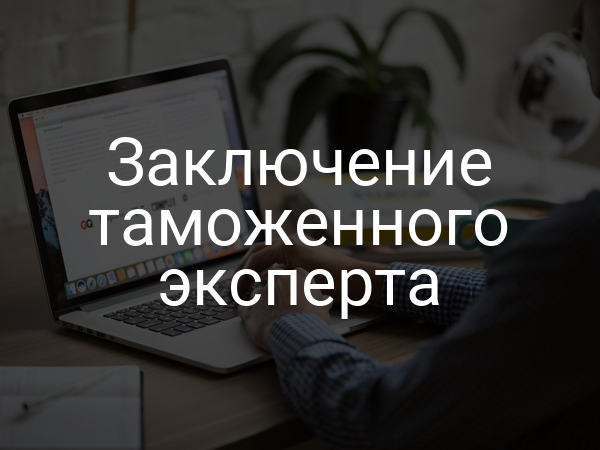 Заключение таможенного эксперта
