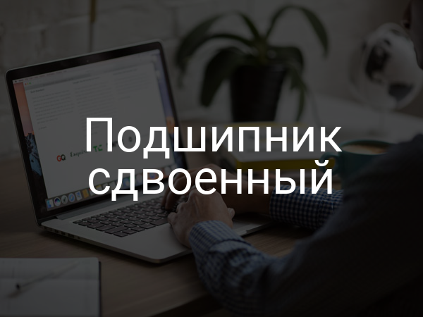 Подшипник сдвоенный