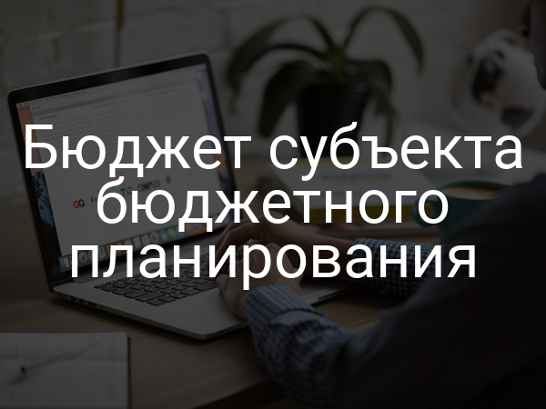 Бюджет субъекта бюджетного планирования