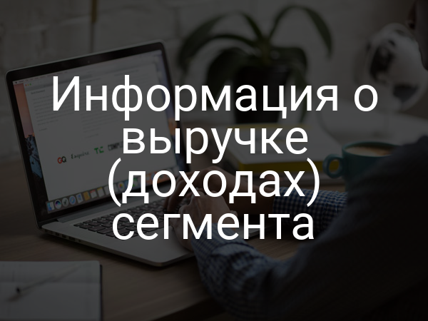 Информация о выручке (доходах) сегмента