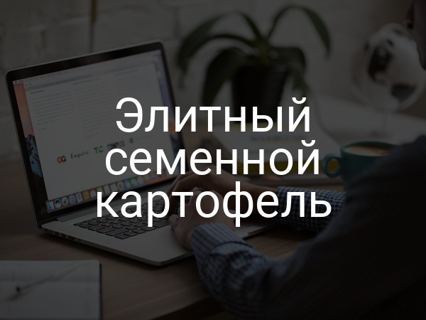 Элитный семенной картофель