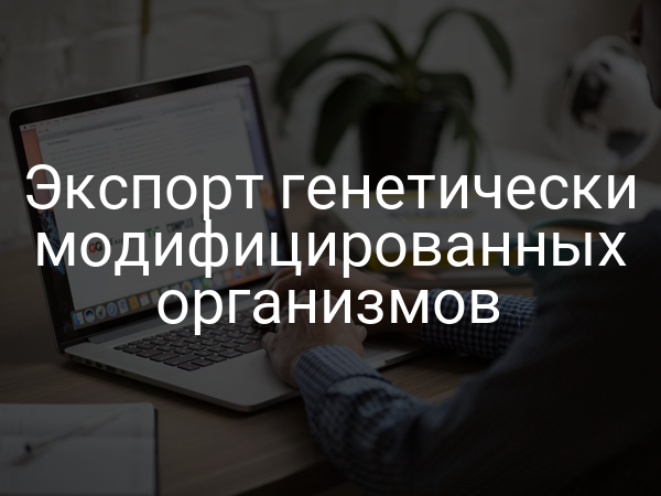Экспорт генетически модифицированных организмов