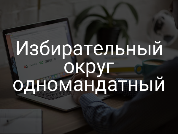 Избирательный округ одномандатный