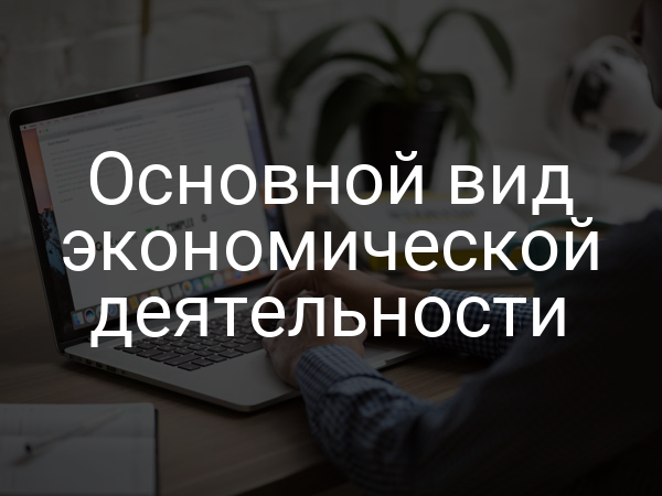 Основной вид экономической деятельности