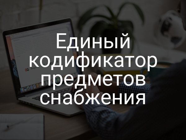 Единый кодификатор предметов снабжения