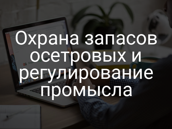 Охрана запасов осетровых и регулирование промысла