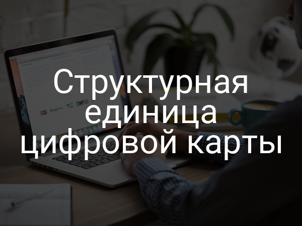 Структурная единица цифровой карты