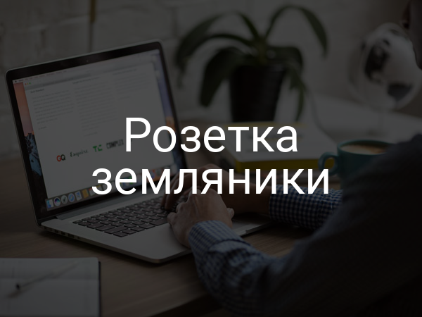 Розетка земляники
