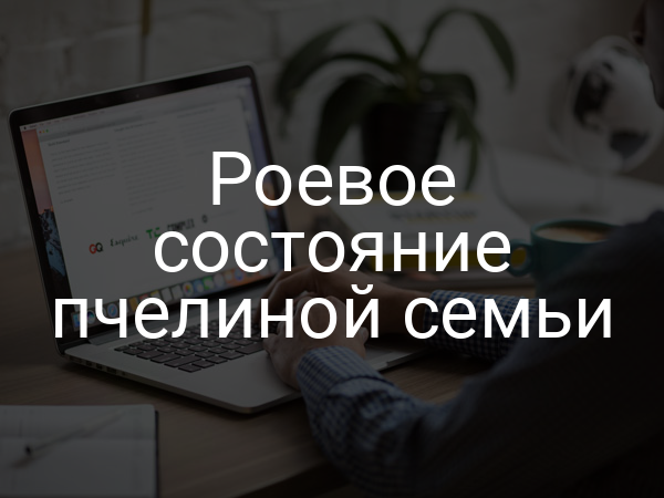 Роевое состояние пчелиной семьи