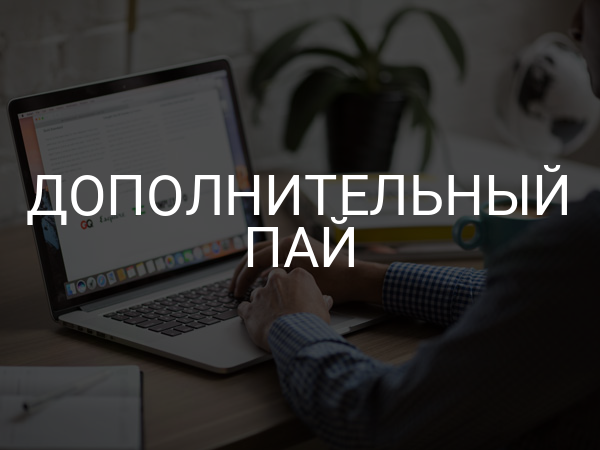 Дополнительный пай