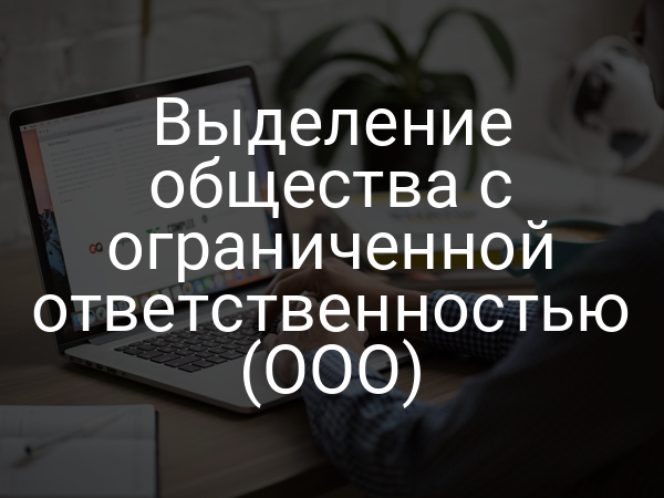 Выделение общества с ограниченной ответственностью (ООО)