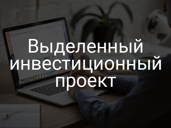 Выделенный инвестиционный проект
