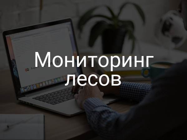Мониторинг лесов