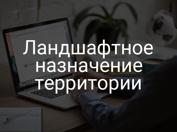 Ландшафтное назначение территории