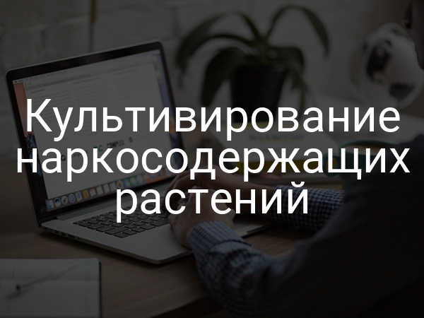 Культивирование наркосодержащих растений