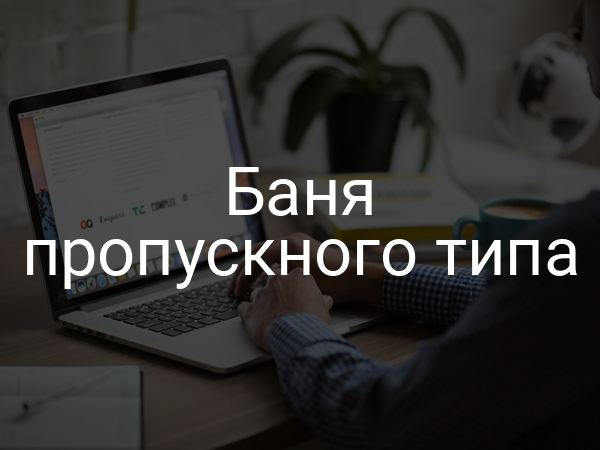 Баня пропускного типа
