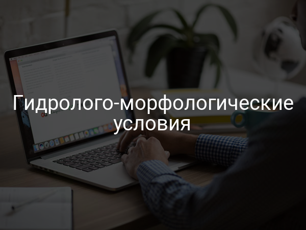 Гидролого-морфологические условия