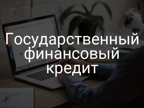 Государственный финансовый кредит