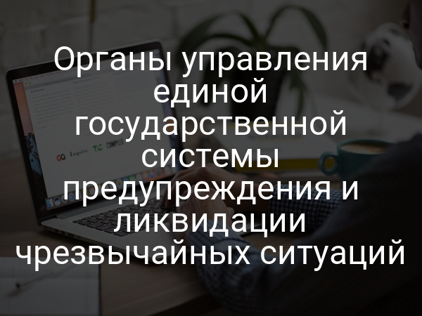 Органы управления единой государственной системы предупреждения и ликвидации чрезвычайных ситуаций