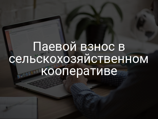Паевой взнос в сельскохозяйственном кооперативе