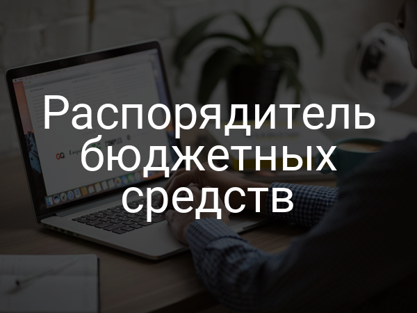 Распорядитель бюджетных средств