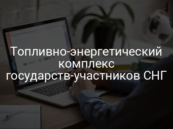 Топливно-энергетический комплекс государств-участников СНГ