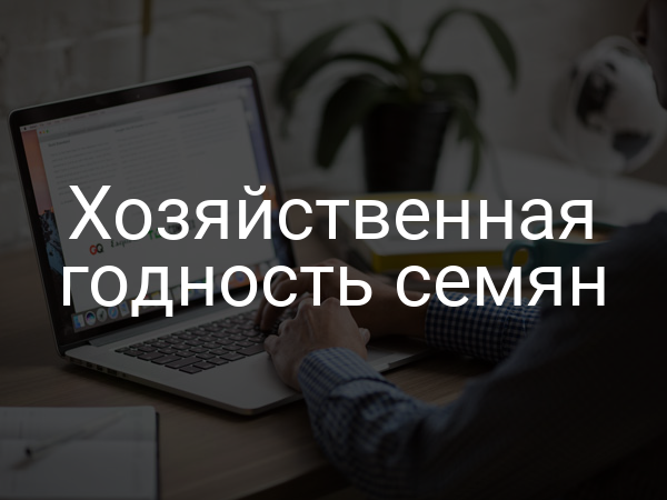 Хозяйственная годность семян