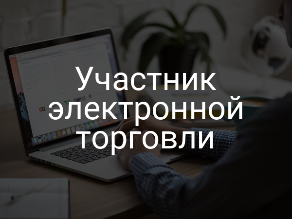 Участник электронной торговли
