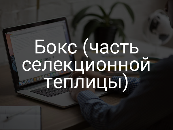 Бокс (часть селекционной теплицы)