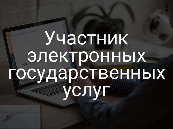 Участник электронных государственных услуг