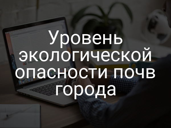 Уровень экологической опасности почв города