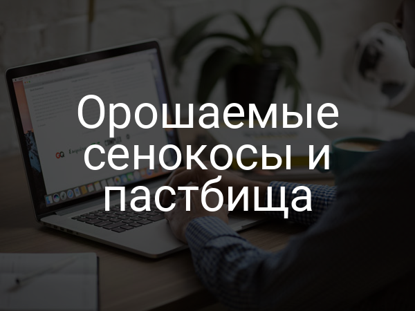 Орошаемые сенокосы и пастбища