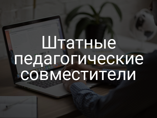 Штатные педагогические совместители