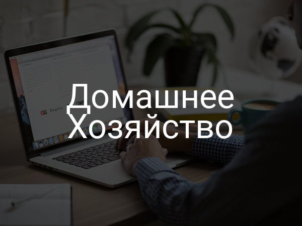 Домашнее хозяйство