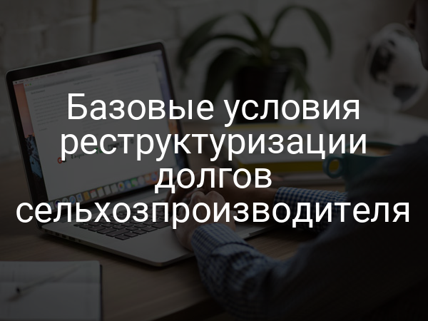 Базовые условия реструктуризации долгов сельхозпроизводителя