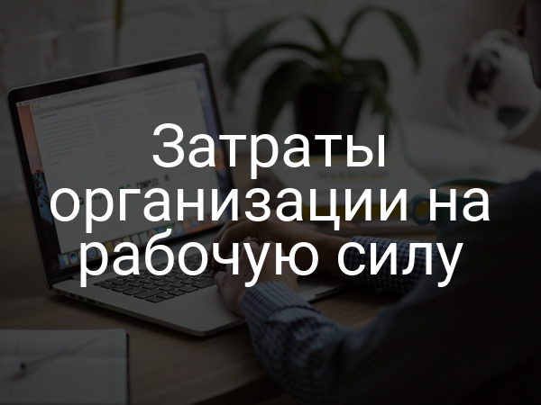 Затраты организации на рабочую силу