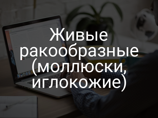 Живые ракообразные (моллюски, иглокожие)