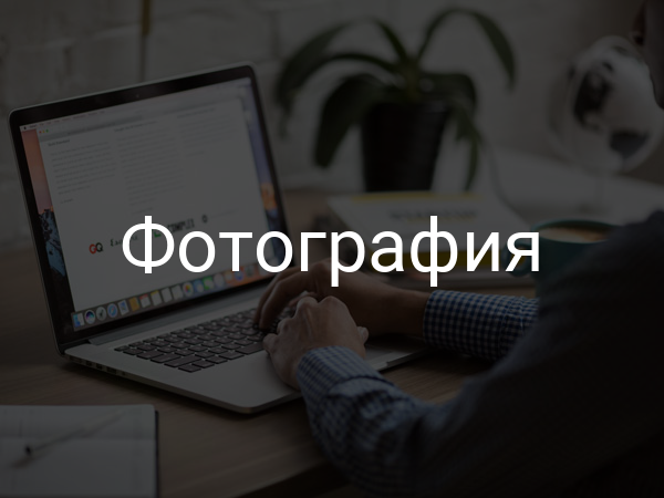 Фотография