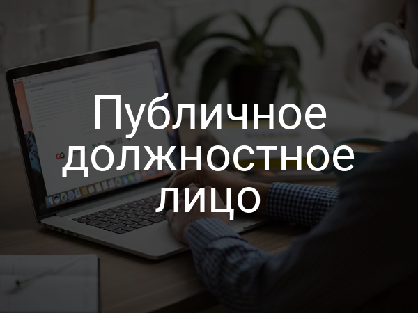 Публичное должностное лицо