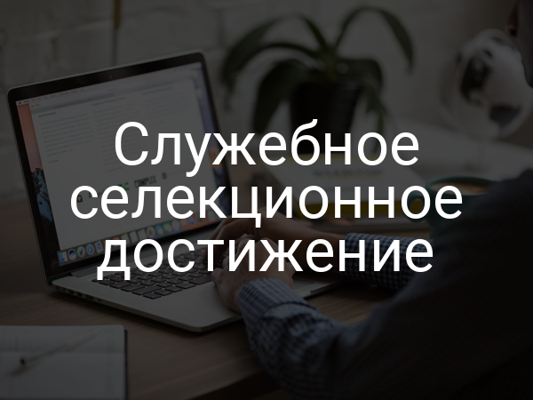 Служебное селекционное достижение