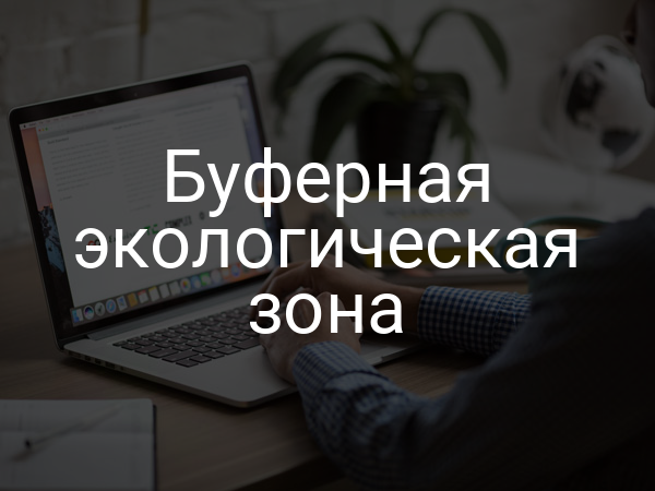 Буферная экологическая зона