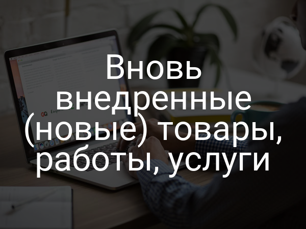 Вновь внедренные (новые) товары, работы, услуги