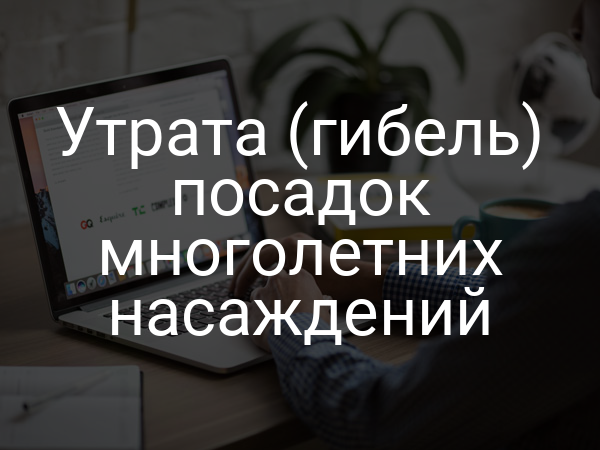 Утрата (гибель) посадок многолетних насаждений