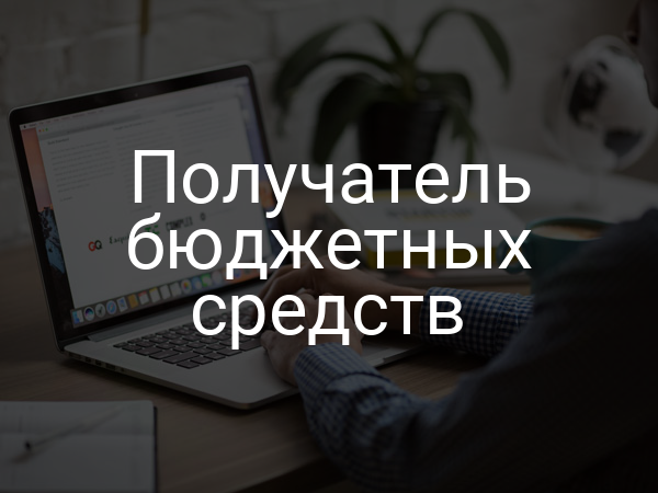 Получатель бюджетных средств